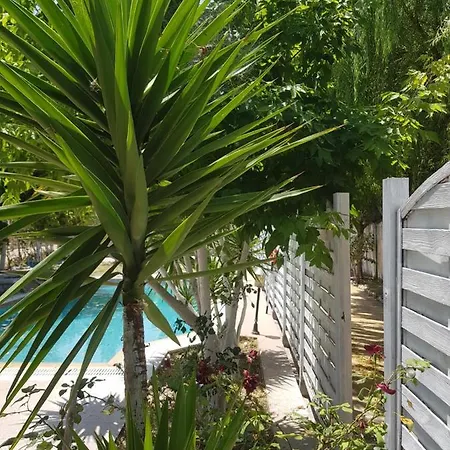 Adonis With Private Pool By Lefkadastay וילה Lefkáda