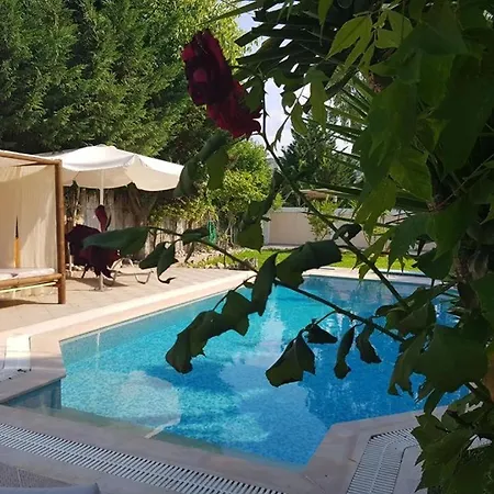 Adonis With Private Pool By Lefkadastay