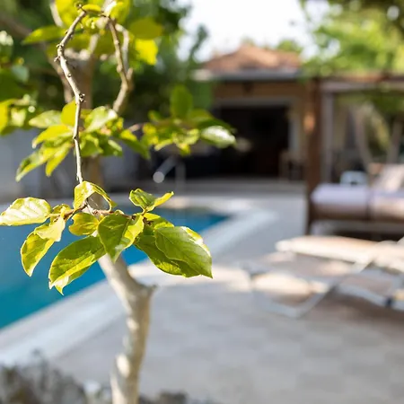 Willa Adonis With Private Pool By Lefkadastay Lefkáda
