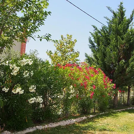 Gyra Villas - Villa Adonis With Private Pool * Lefkada City